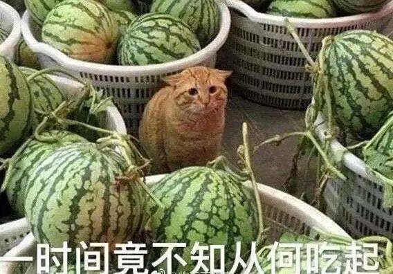 价格暴涨！今天，你吃瓜了吗？