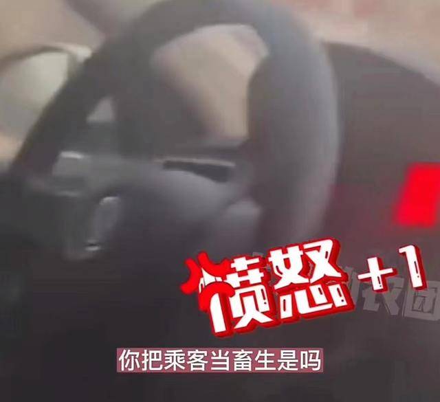 网约车司机拉客群叫“拉畜生交流群”司机：叫啥群关你啥事？