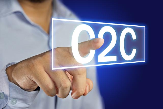 C2CX(c2c咸鱼)