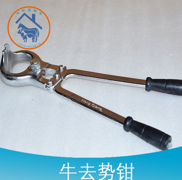 QSQ(qsq是什么意思)