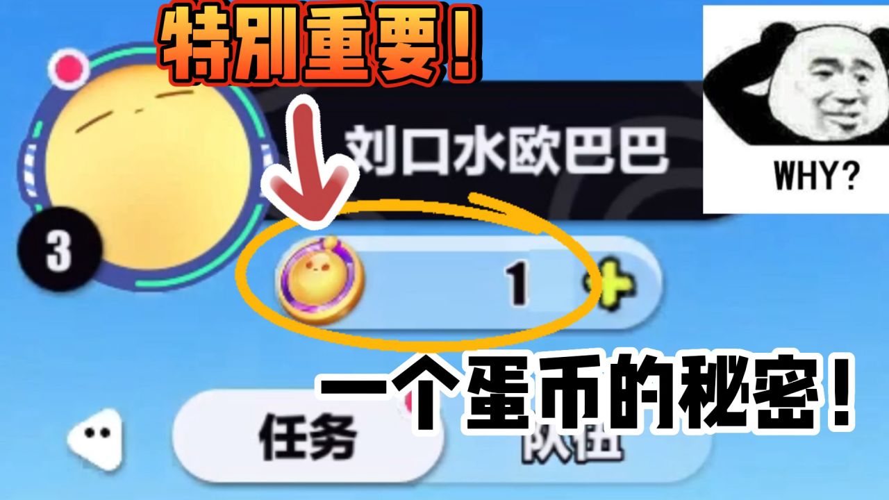 币蛋(币蛋价格)