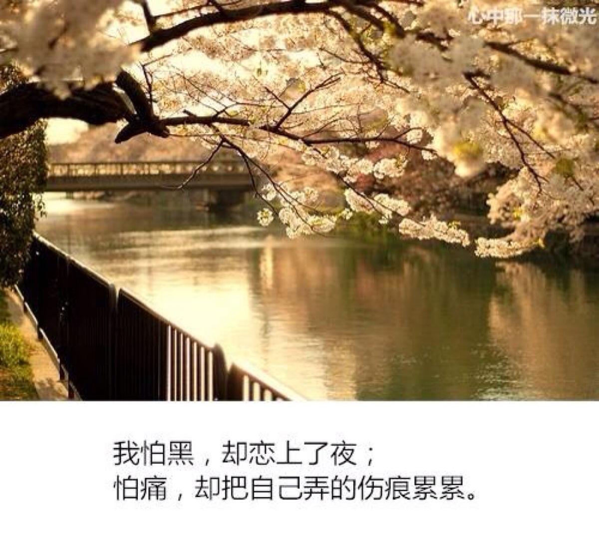 NVEX(nve系综)