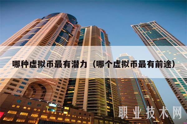 哪种虚拟币好(2021哪个虚拟币前景好)
