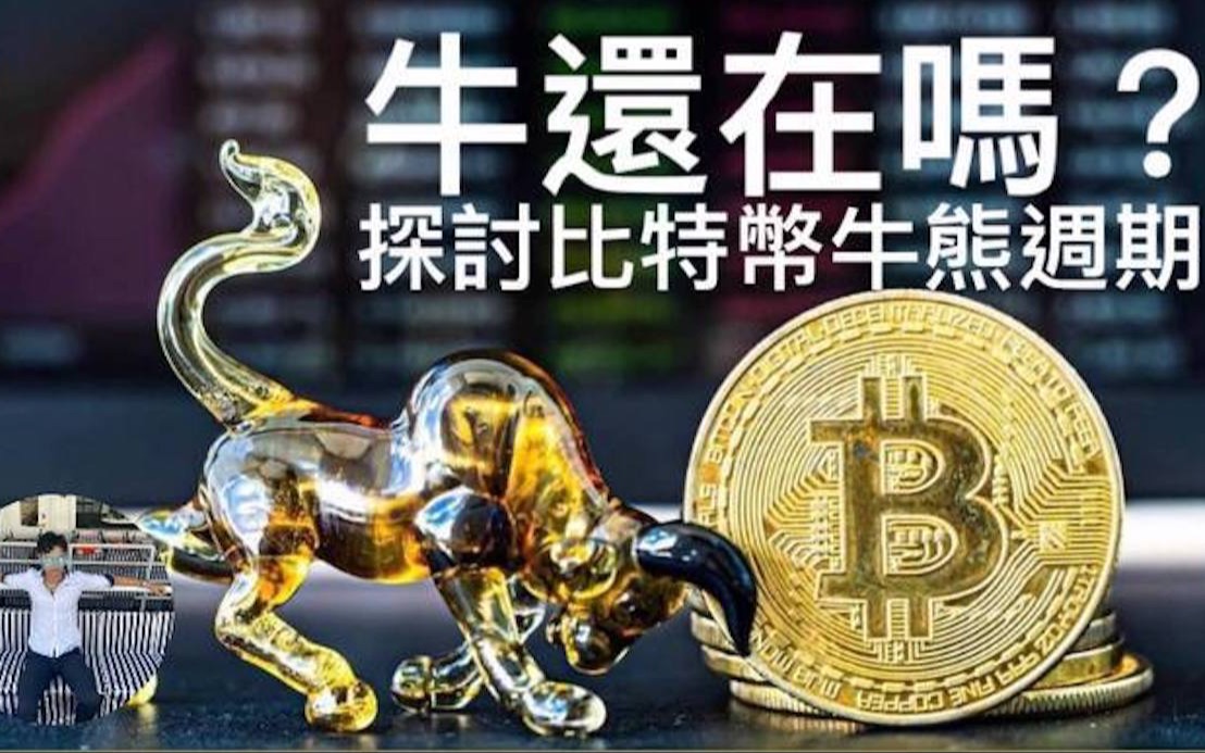 虚拟币牛市(虚拟币牛市前会不会大跌)